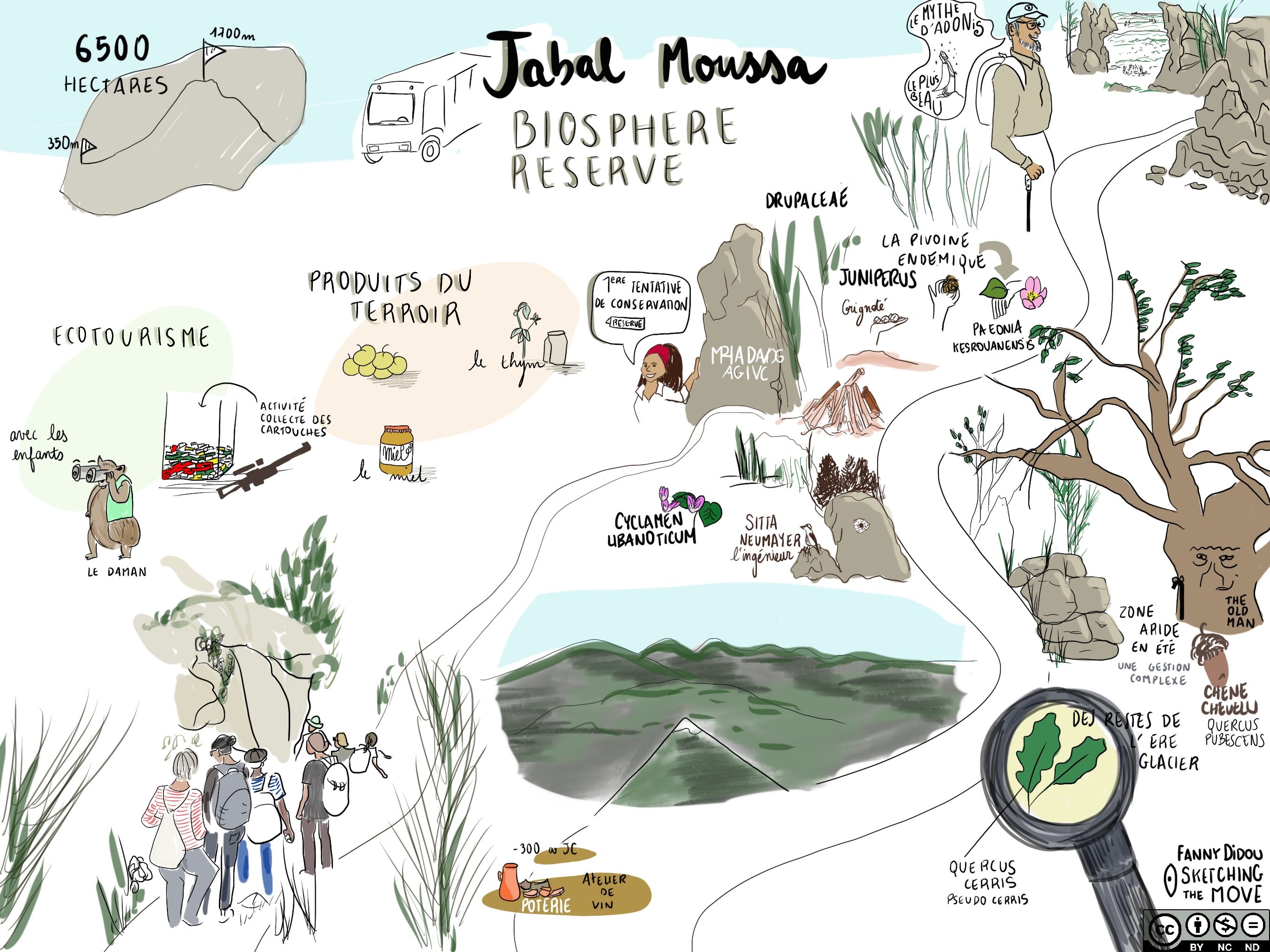Jabal Moussa Biosphere Reserve: a Reservoir of Unique Species & Partner in the EduBioMed Project